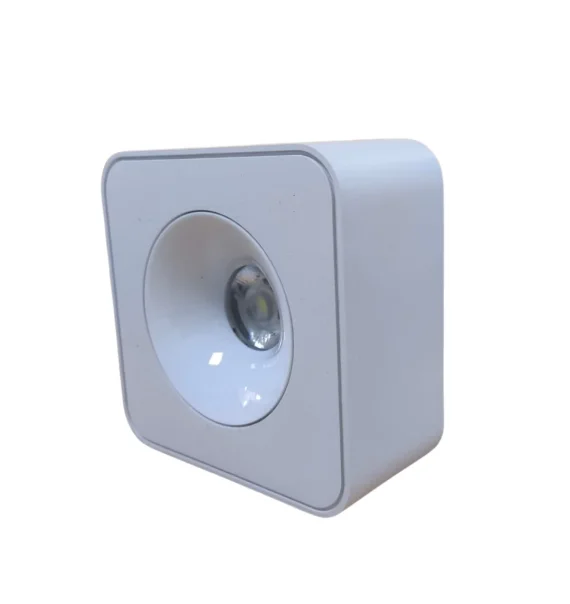 Delux CLONCA-31VV spot light (55×115 mm, white)